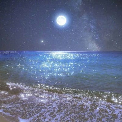 หนุ่ย อำพล avatar